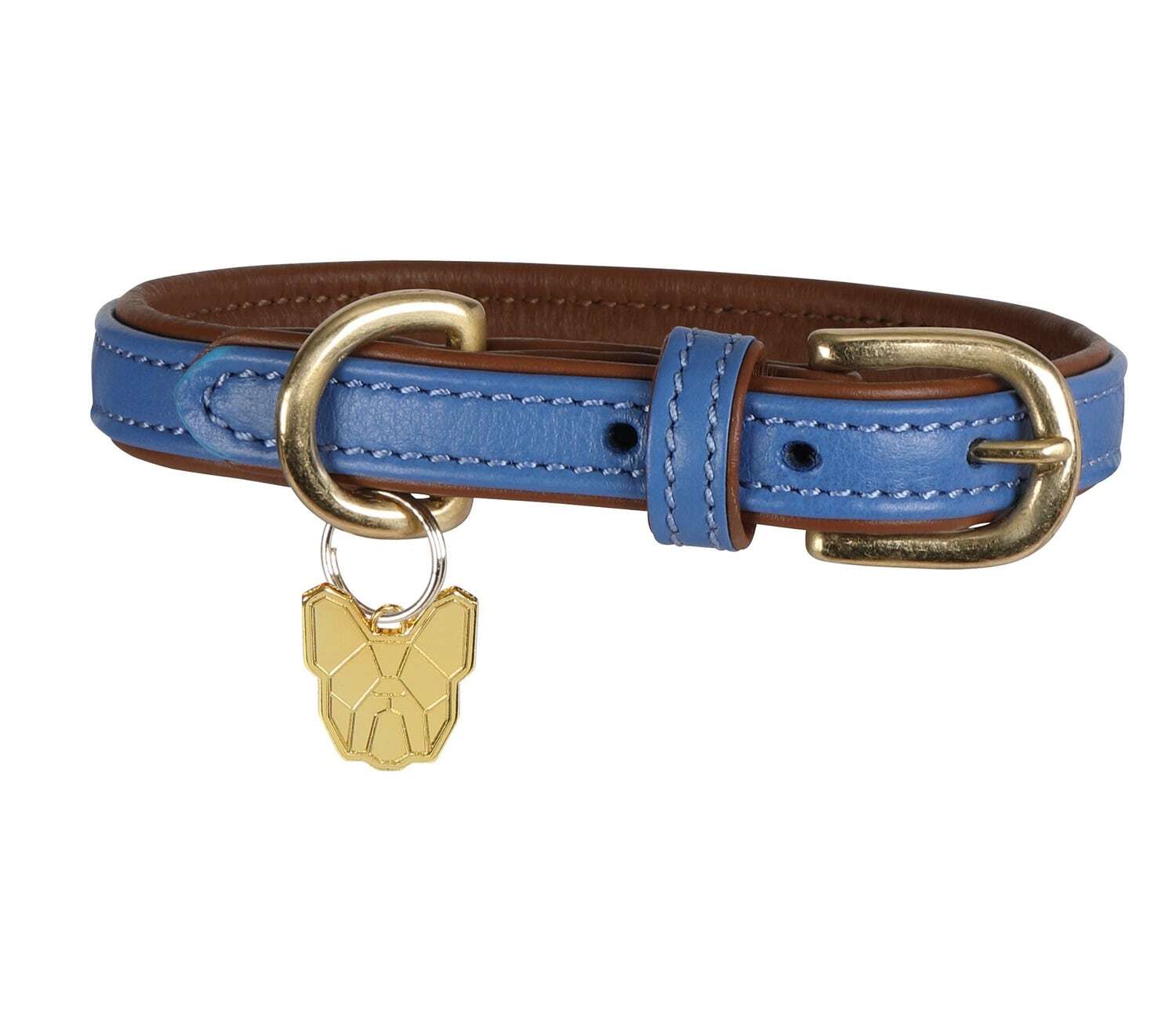 Digby & fox dog collars best sale